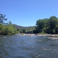 IMG_7085.JPG