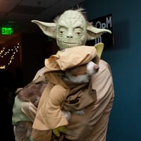 wdhalloween-8320.jpg