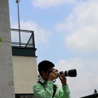vickigrad-0075.jpg