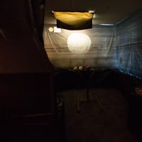 wdhalloween-9036.jpg