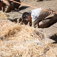 toughmudder-7776.jpg