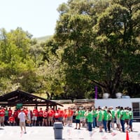 w16survivor-1182.jpg