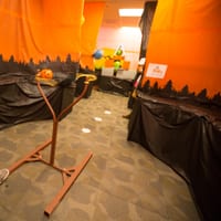 wdhalloween-9031.jpg