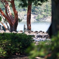 2012.08.09betsy_harrison_wedding-1209.jpg