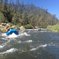 IMG_7147.JPG