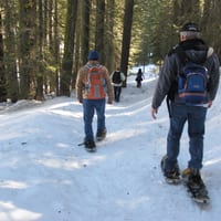 IMG_0529.JPG