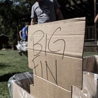 w19survivor-3598.jpg