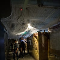 306B3084.jpg