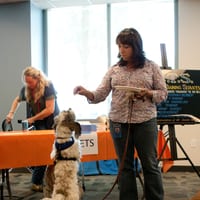 bydtwd-2529.jpg
