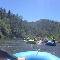 IMG_7132.JPG