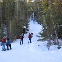 IMG_0504.JPG