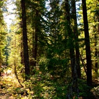 oregon-6897.jpg