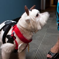 wdhalloween-8383.jpg