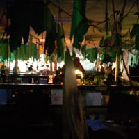 wdhalloween-8256.jpg