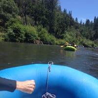 IMG_7131.JPG