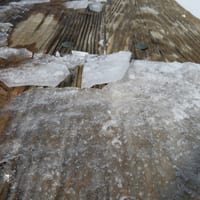 IMG_3680__dQf7WM3.JPG