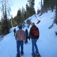 IMG_0542.JPG