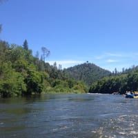 IMG_7133.JPG