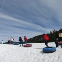 IMG_3722.JPG