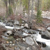 IMG_3739.JPG