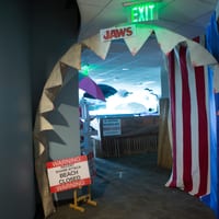 wdhalloween-9245.jpg