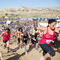 toughmudder-7287.jpg