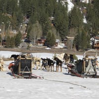 IMG_0485.JPG