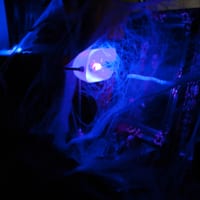 wdhalloween-8286.jpg