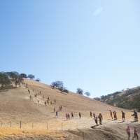 toughmudder-7387.jpg