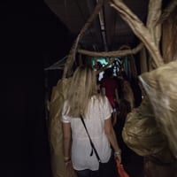 306B3055.jpg