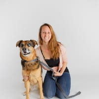 Maddie's Fund Staff Pets Session I