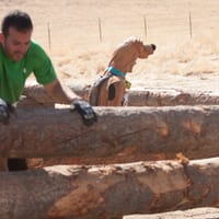 toughmudder-7085.jpg