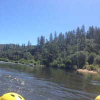 IMG_7082.JPG