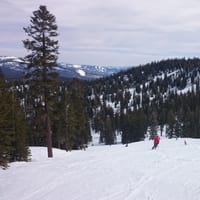 DSC_0228.jpg