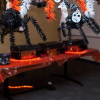 wdhalloween-8289.jpg