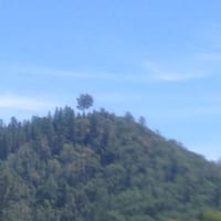 IMG_7136.JPG