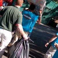 w16survivor-1712.jpg