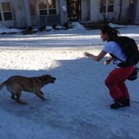 jessica_and_random_dog.JPG