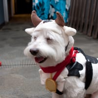 wdhalloween-8384.jpg