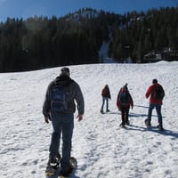 IMG_0501.JPG