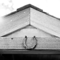 2012.08.10betsy_harrison_wedding-1397.jpg