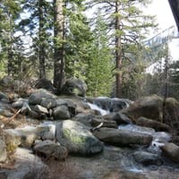 IMG_3759.JPG