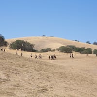 toughmudder-7670.jpg
