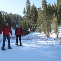 IMG_0520.JPG