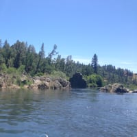 IMG_7124.JPG