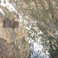 IMG_3714.JPG