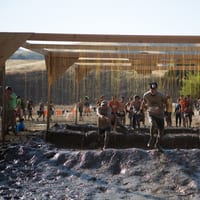 toughmudder-8022.jpg