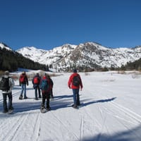 IMG_0498.JPG