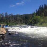 IMG_7154.JPG