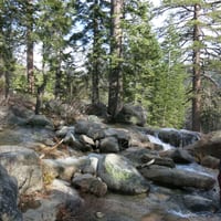 IMG_3757.JPG